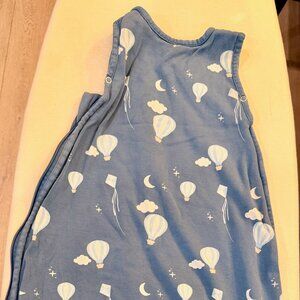 Woolino 4 Season Ultimate Sleep Sack | Hot Air Balloon Print 2-4 Year